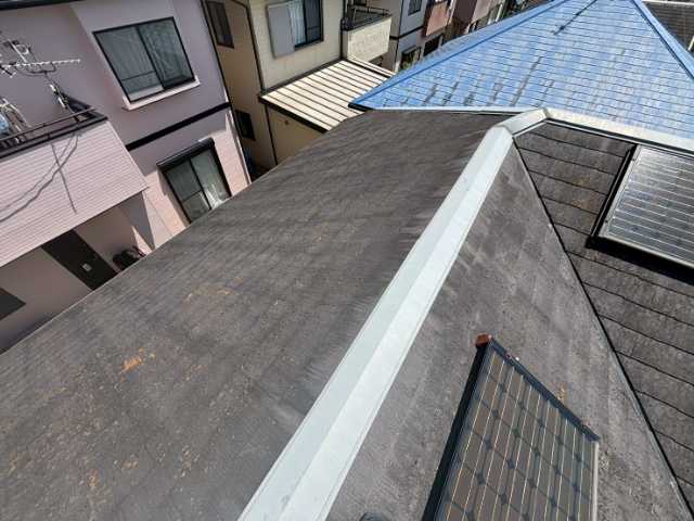退色が進んだ大屋根